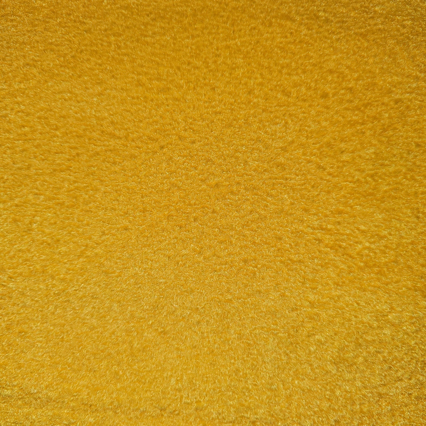 Penny/Pete The Perogy - March 8th