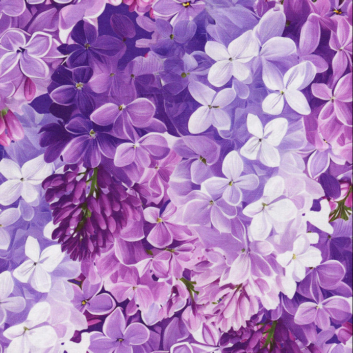 Lilacs - Large