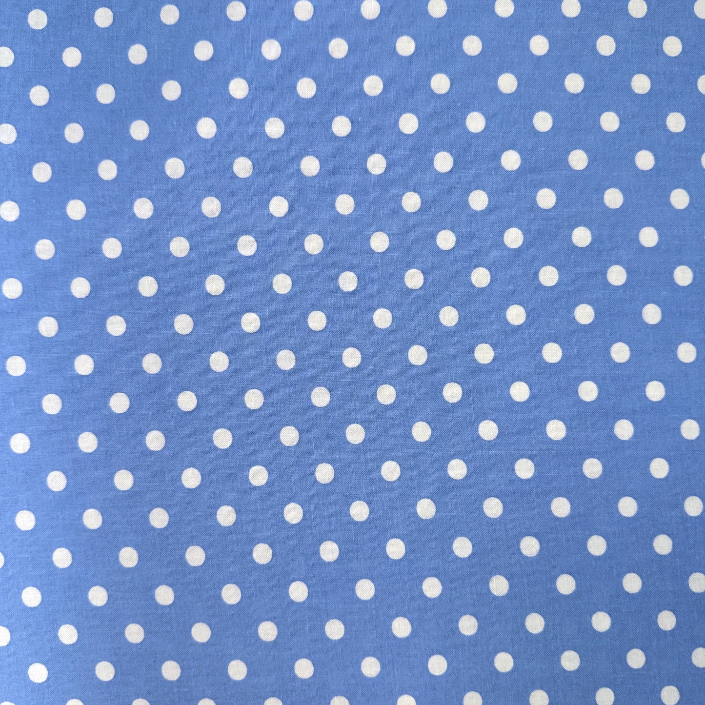 Dots - Lg - Blue