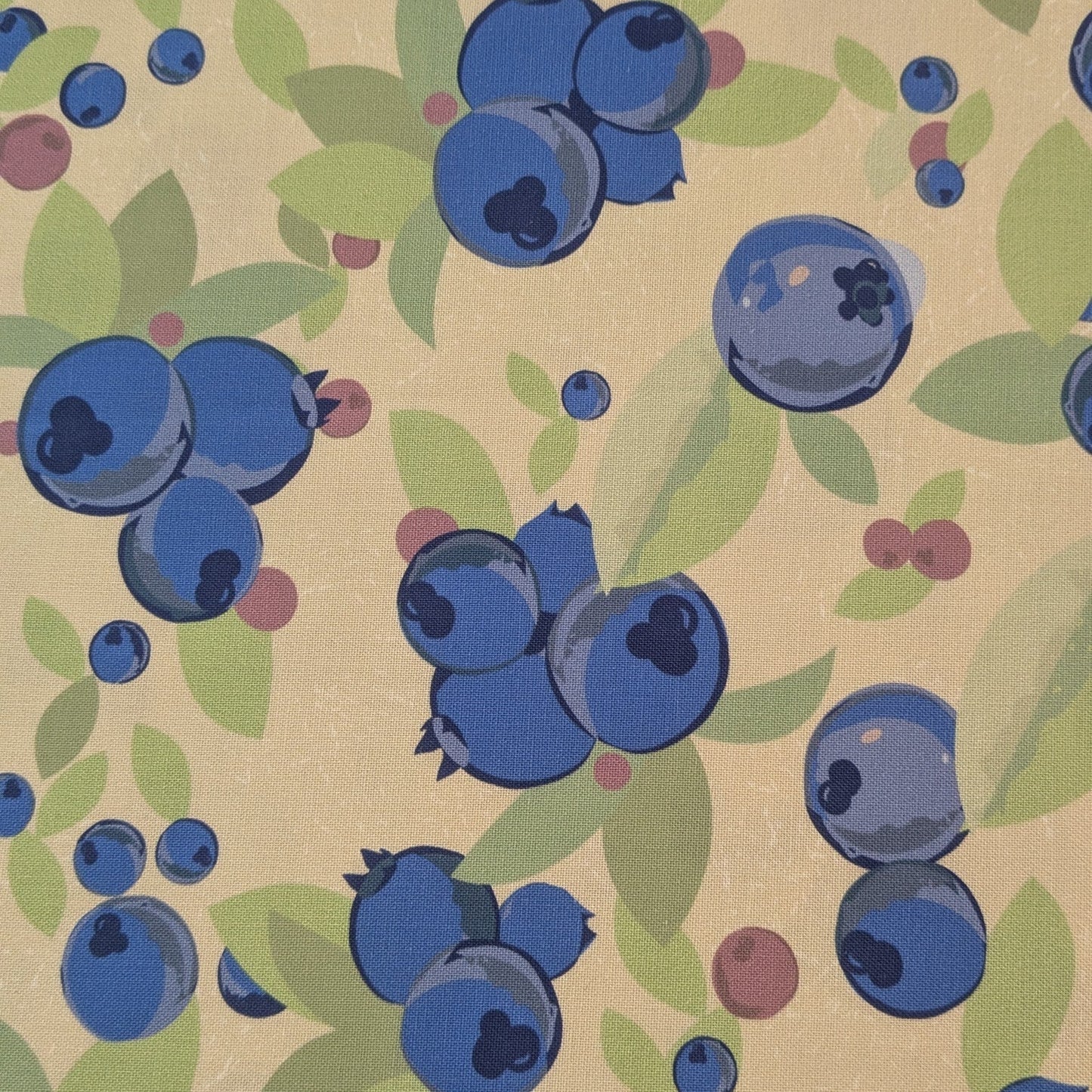 Blueberries - Tan - Remnant