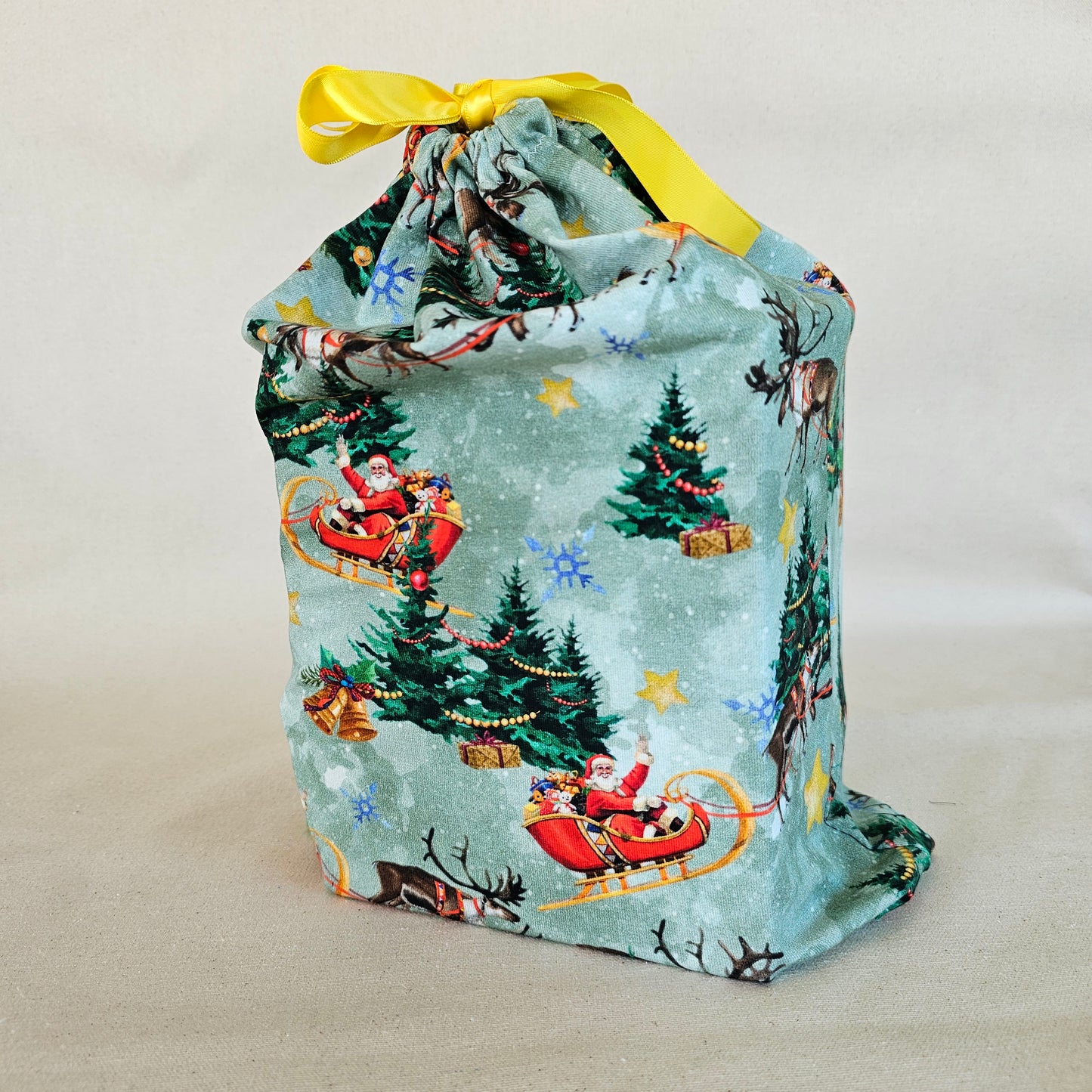 Gift Bag - Dec. 13th