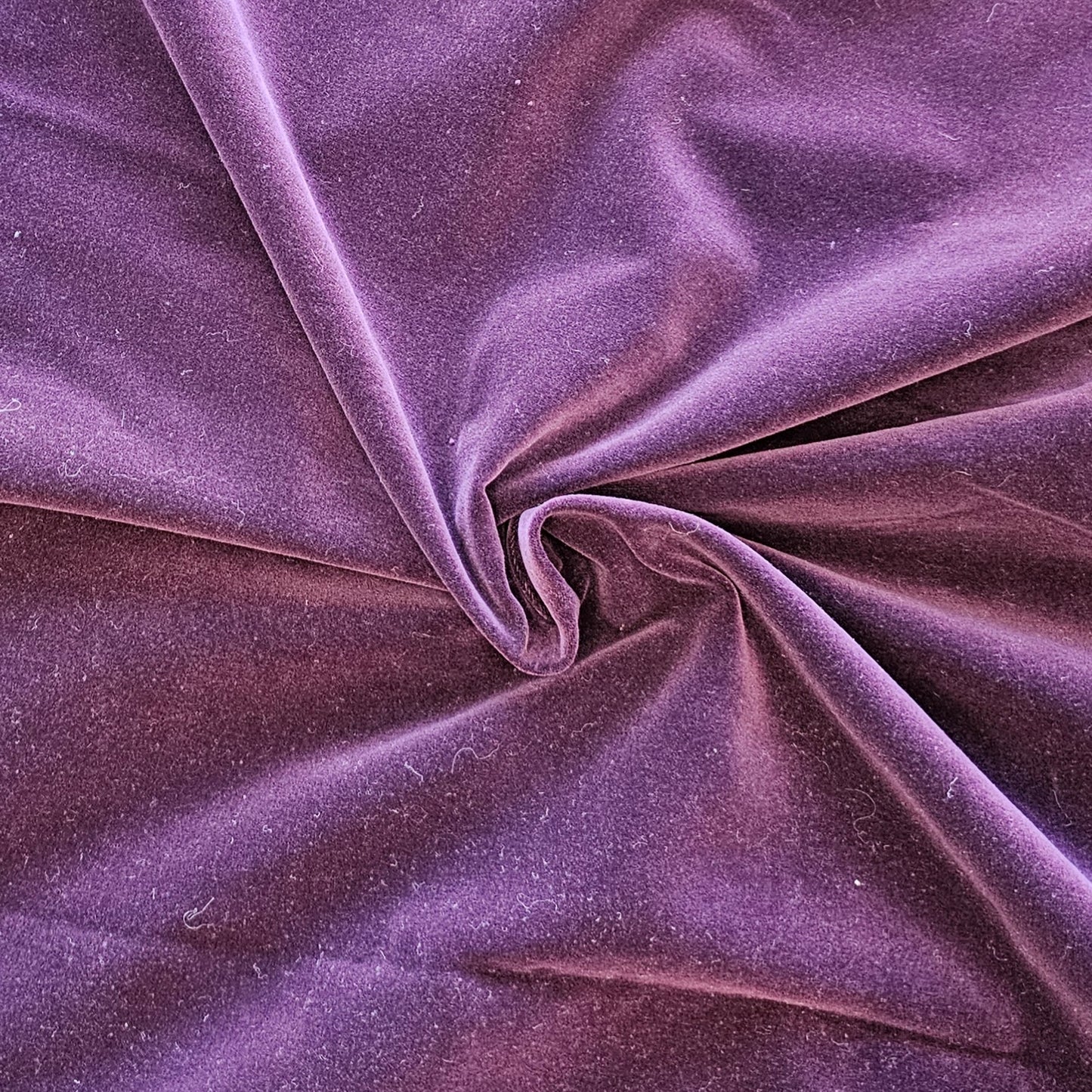 Velveteen - Purple - Imperfect Roll End