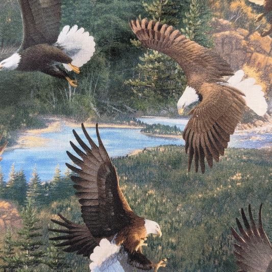 Eagles - Remnant