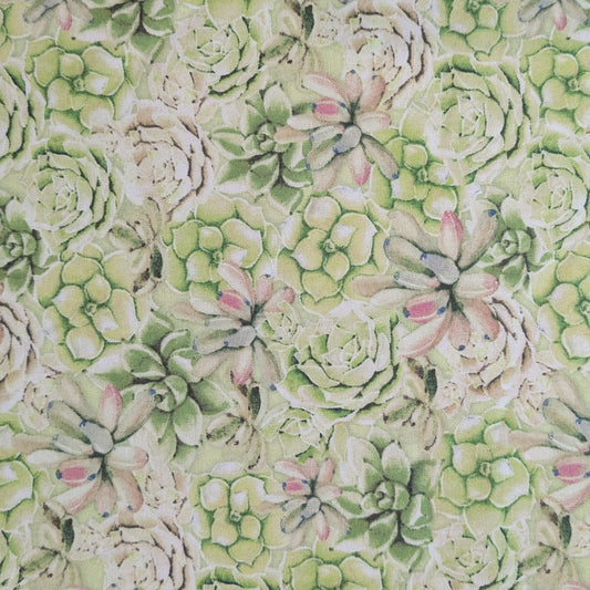 Succulents - Green - Remnant