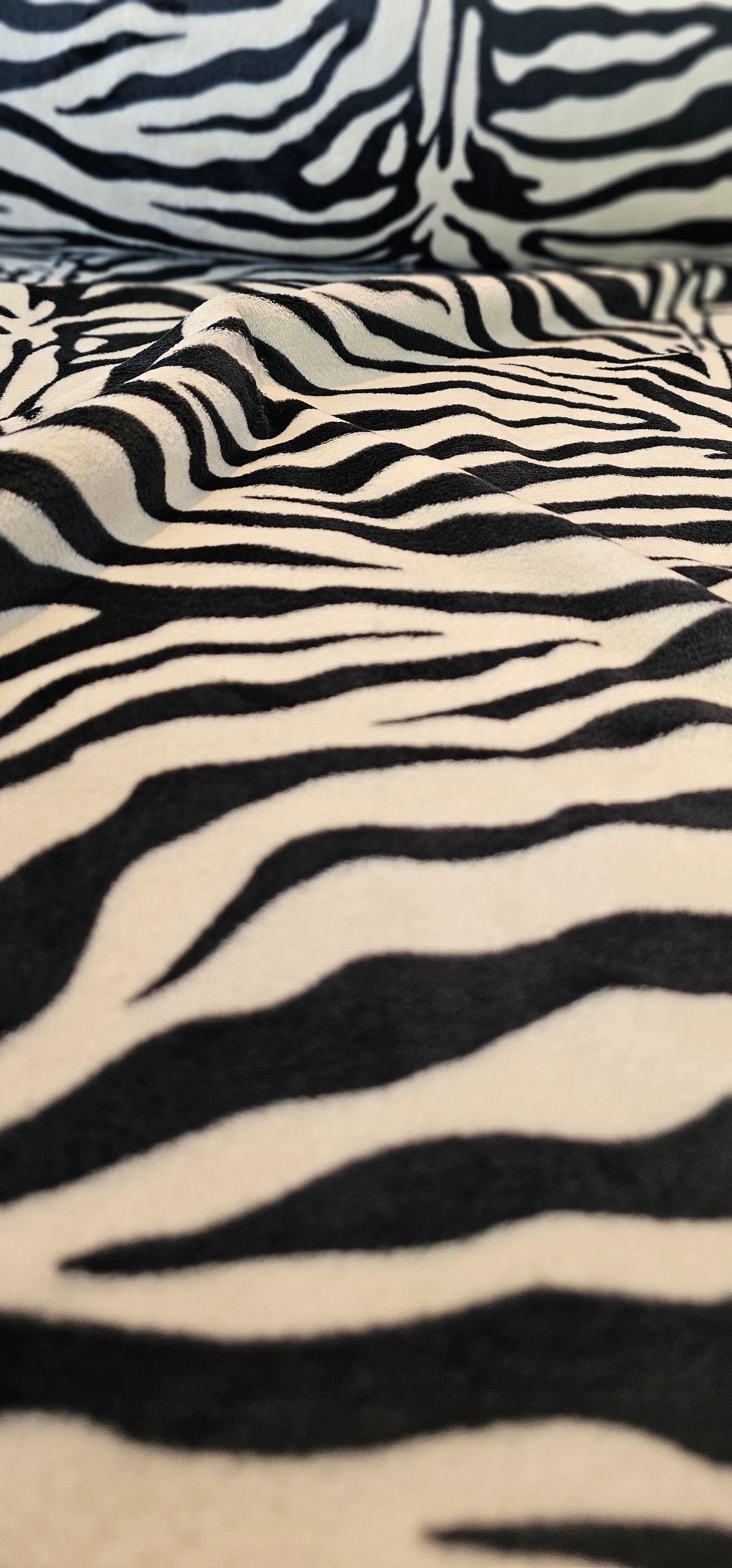 Zebra Plush